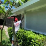 94779964_2585744315017259_6585666675729760256_o